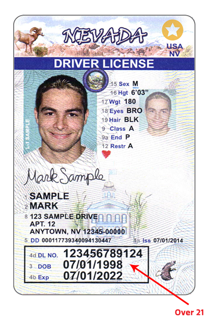 florida drivers license under 21 template